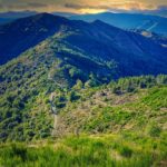 marche immobilier dans les cevennes