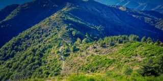 marche immobilier dans les cevennes