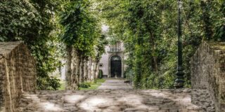 Investir dans l'immobilier à Trans-en-Provence